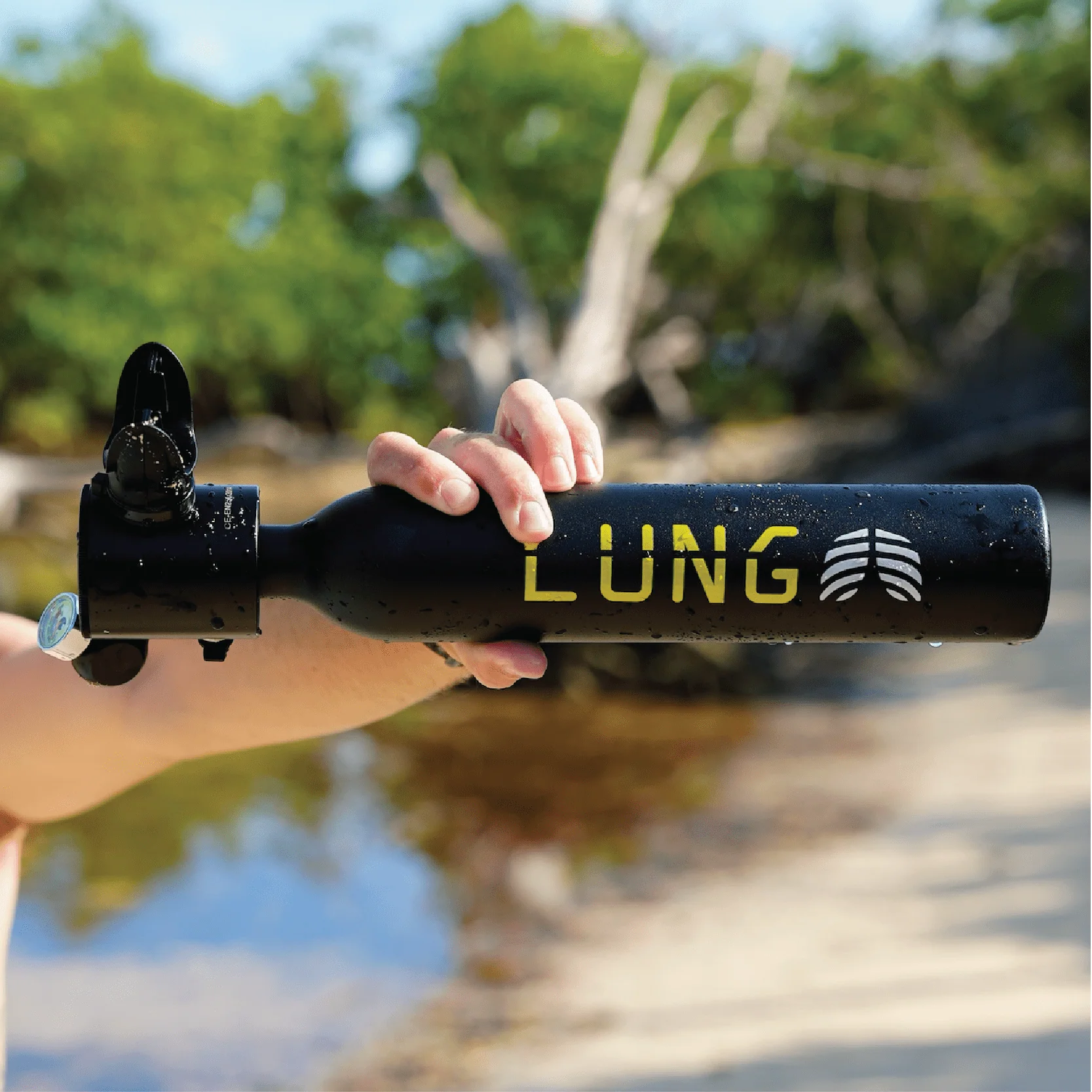 Lung T-500 + Hand Pump - Image 5
